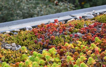 the cost of Ballykelly green roof installation