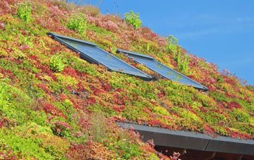 Ballykelly living roof systems