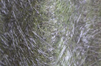 Ballykelly fibreglass roof work